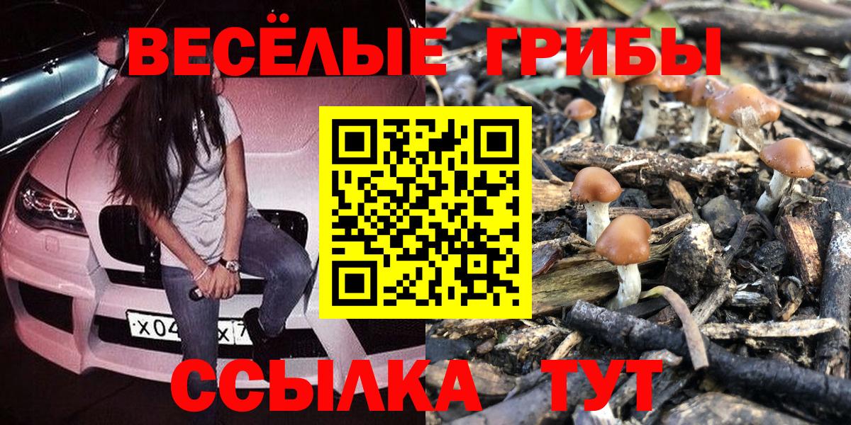 Псилоцибиновые грибы Psilocybine cubensis  Вход с VPN  Псилоцибиновые грибы MAGIC MUSHROOMS  Усинск 