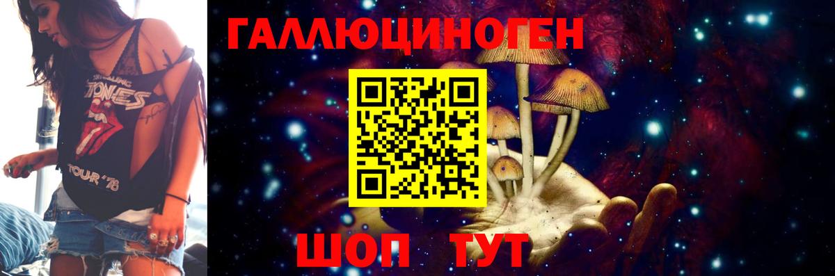 Псилоцибиновые грибы Psilocybine cubensis Усинск